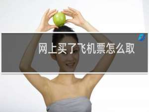 网上买了飞机票怎么取