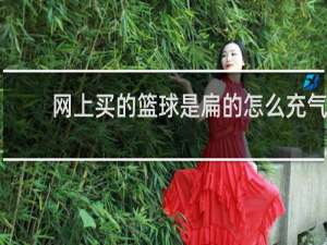 网上买的篮球是扁的怎么充气