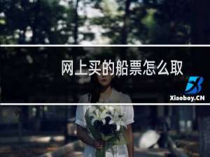 网上买的船票怎么取