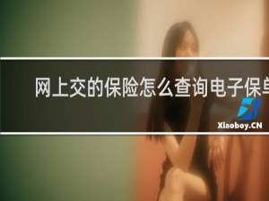 网上交的保险怎么查询电子保单
