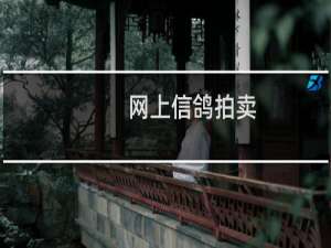 网上信鸽拍卖