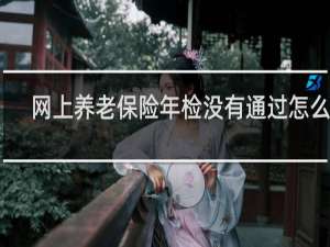 网上养老保险年检没有通过怎么办