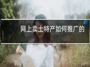 网上卖土特产如何推广的