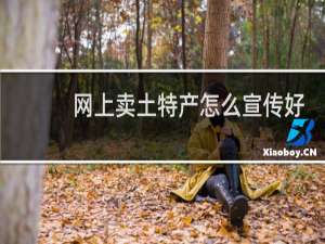 网上卖土特产怎么宣传好