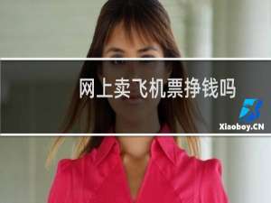 网上卖飞机票挣钱吗