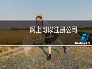 网上可以注册公司