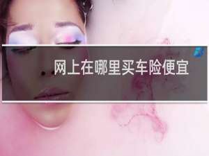 网上在哪里买车险便宜