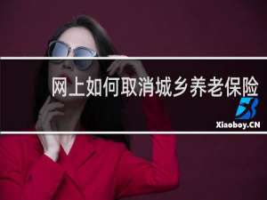 网上如何取消城乡养老保险