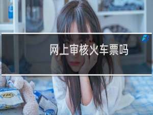 网上审核火车票吗