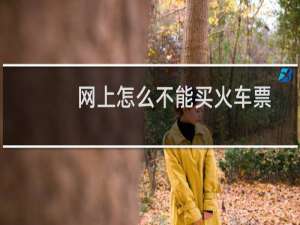 网上怎么不能买火车票