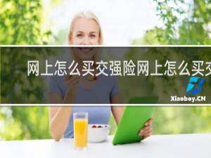 网上怎么买交强险网上怎么买交