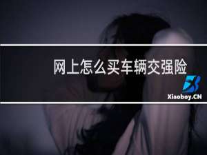 网上怎么买车辆交强险