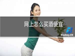 网上怎么买酒便宜