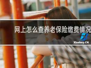 网上怎么查养老保险缴费情况