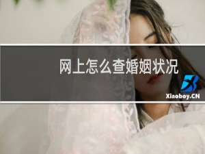 网上怎么查婚姻状况