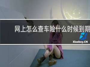 网上怎么查车险什么时候到期