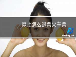 网上怎么退票火车票