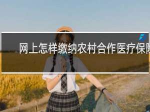 网上怎样缴纳农村合作医疗保险