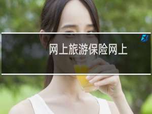 网上旅游保险网上