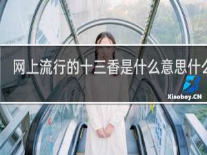 网上流行的十三香是什么意思什么梗
