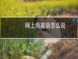 网上用英语怎么说
