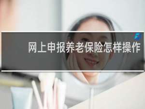 网上申报养老保险怎样操作