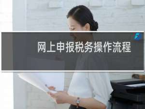 网上申报税务操作流程
