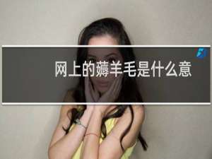 网上的薅羊毛是什么意思（网络薅羊毛是什么意思）