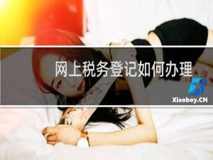 网上税务登记如何办理