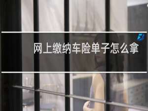 网上缴纳车险单子怎么拿