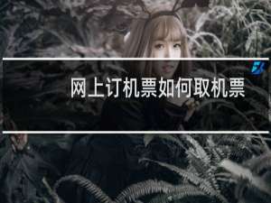 网上订机票如何取机票