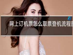 网上订机票怎么取票登机流程图