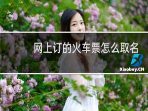 网上订的火车票怎么取名