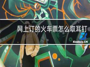 网上订的火车票怎么取耳钉