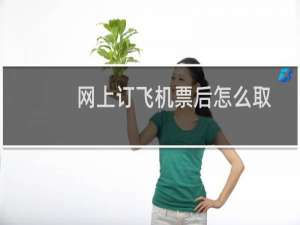 网上订飞机票后怎么取