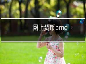 网上货币pmc