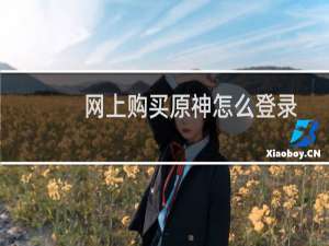 网上购买原神怎么登录