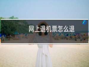 网上退机票怎么退