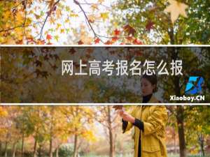 网上高考报名怎么报
