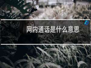 网内通话是什么意思
