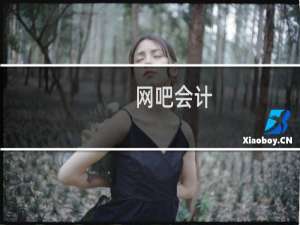 网吧会计