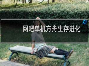 网吧单机方舟生存进化