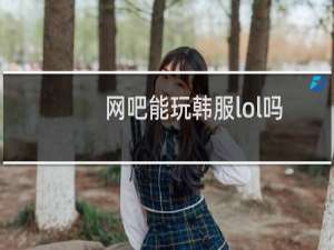 网吧能玩韩服lol吗