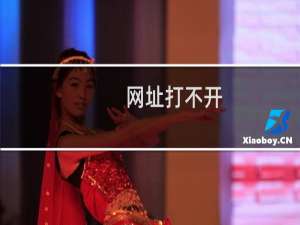 网址打不开，取不到文件-虚拟主机/数据库问题