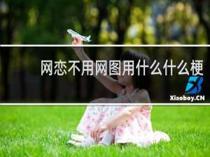 网恋不用网图用什么什么梗