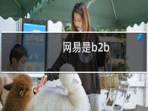 网易是b2b