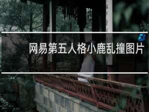 网易第五人格小鹿乱撞图片