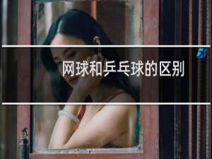 网球和乒乓球的区别