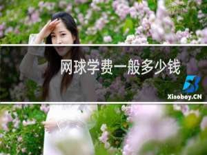 网球学费一般多少钱