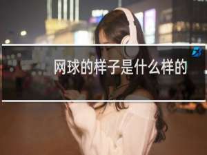 网球的样子是什么样的